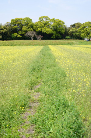 20130417R_1.jpg