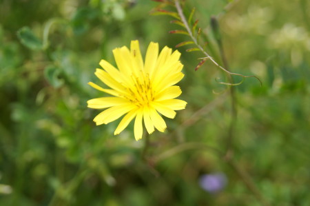 20130417U_1.jpg