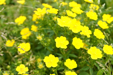 20130417V_1.jpg