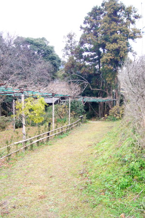 池淵弘法大師6_1.jpg
