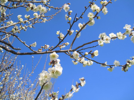 ~201302Q_1.jpg