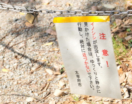資能墓1_1.jpg