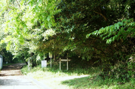 資能墓2_1.jpg