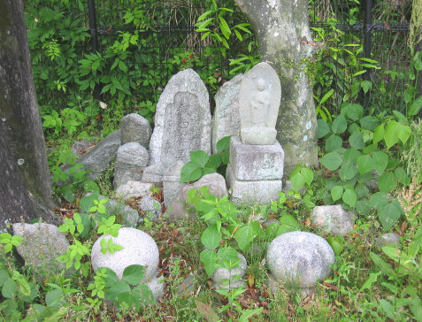 asahiyama1.jpg