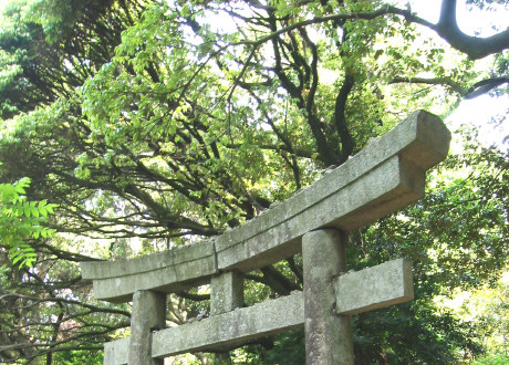 bisyamonten2.jpg