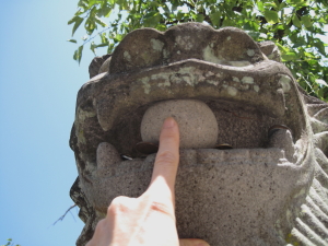 dazakoma1_1.jpg