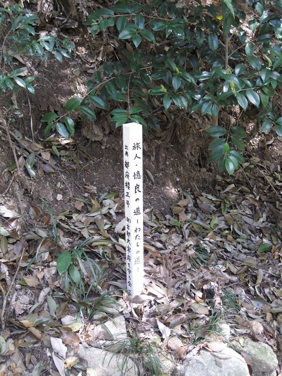 f45240832 - コピー - コピー.jpg