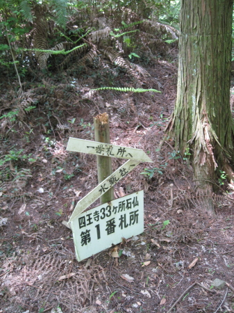 ichiban3_1.jpg