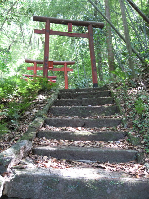 ishiana15.jpg