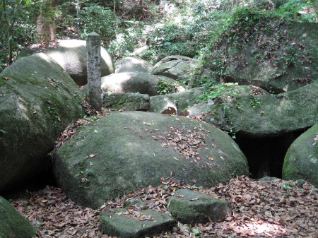 ishiana5.jpg