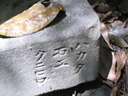ishianakomakitune3-9.jpg