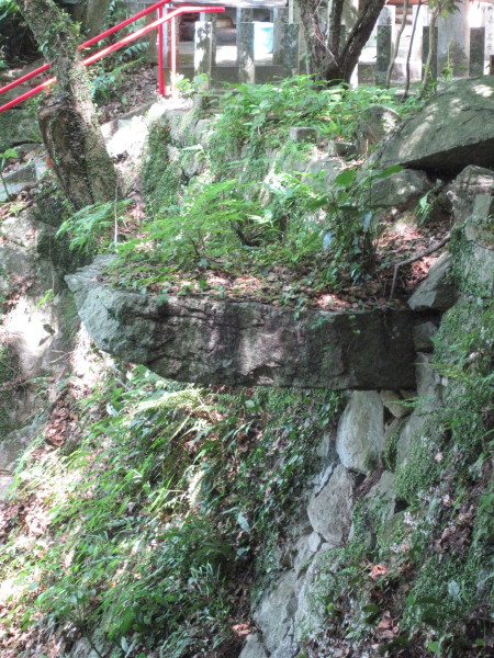 ishianatani2_1.jpg
