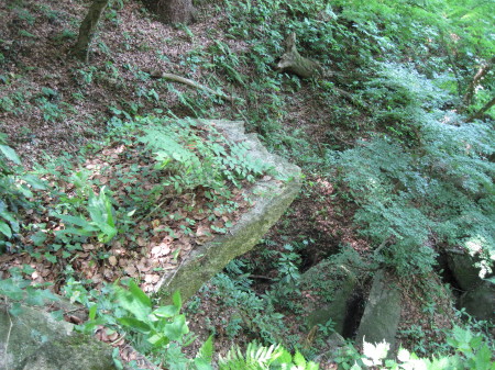 ishianatani5.jpg
