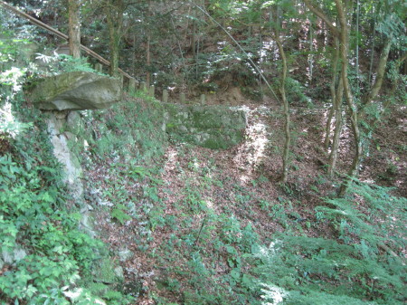 ishianatani8_1.jpg