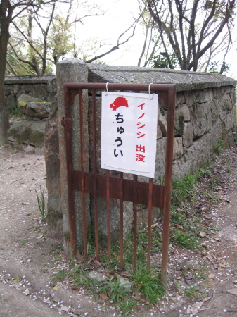 iwayajyoato28.jpg