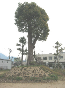 kanekake2.jpg