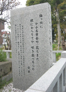 kanekake5.jpg
