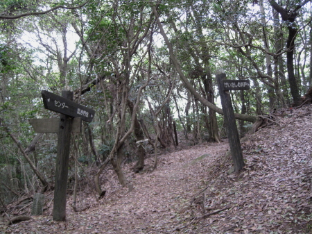 keisashinoido1.jpg
