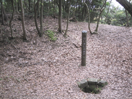 keisashinoido2.jpg