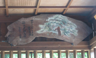 kinukake1.jpg