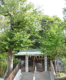 kinukake2.jpg