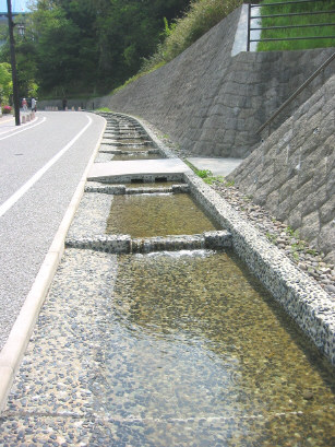 kokuhakudori5.jpg