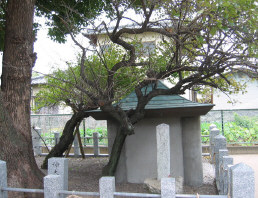 kumamaro2.jpg