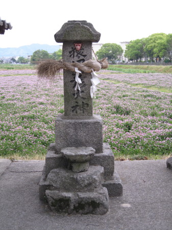 oimatsujinjya3.jpg