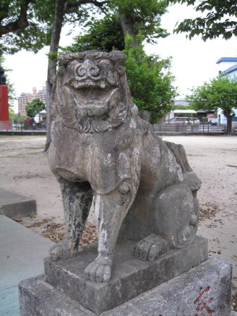 oimatsukoma9.jpg