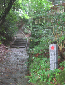 tenpai14.jpg