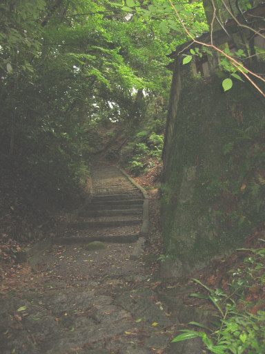 tenpai2.jpg