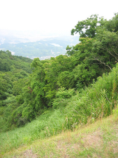 yakigome6.jpg