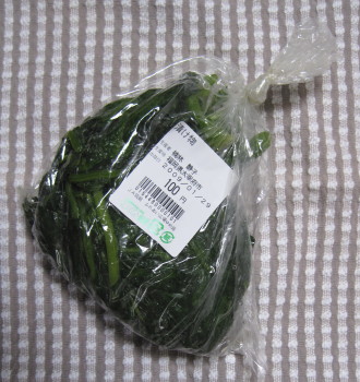yamasiona.jpg
