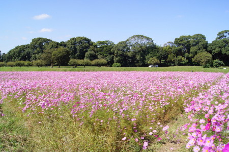 2011.10.26̃RXXR_1.jpg