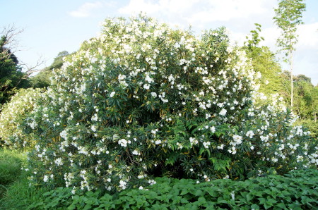20110717W]3_1_1.jpg