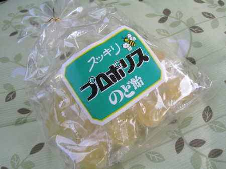 yumebatake2_1_1.jpg